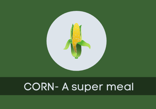 Should you include corn in your daily meal? Answering your questions